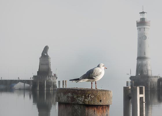 1分钟搞懂川普的对等关税咋算的！
